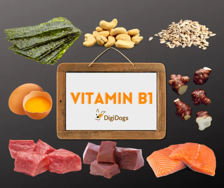 Was ist ein Vitamin-B1 Räuber?