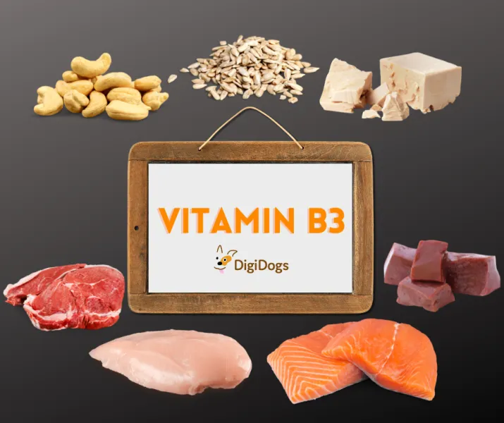 Vitamin B3 (Niacin) - Gesunde Haut, Verdauung Und Nerven